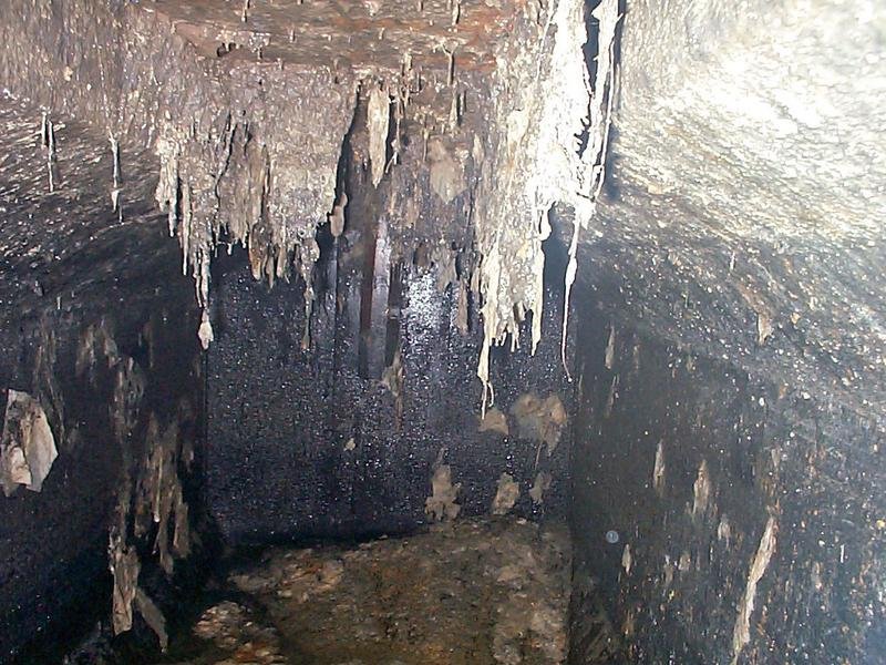 Septic Inspections in Appleton